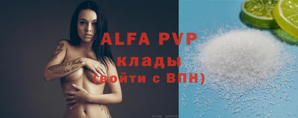 амф Верея
