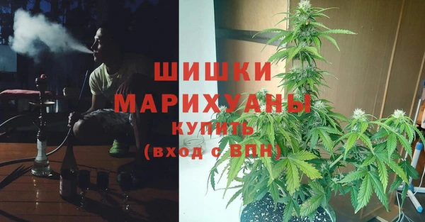 амф Верея