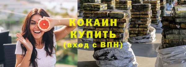 амф Верея