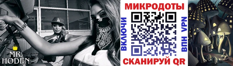 Псилоцибиновые грибы Cubensis  Купить где  Новоалтайск 